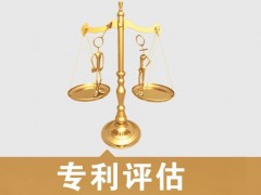 專利的價(jià)值評(píng)估，新手賣家必看