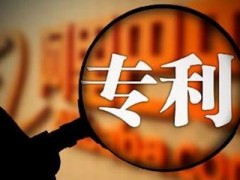 企業(yè)或個人為什么要進行專利申請？